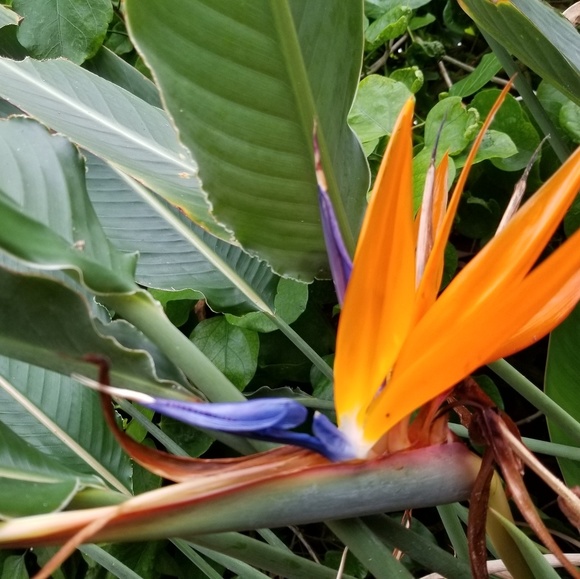 Meet your Posher, Sherry - Picture 2 of 11